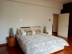 The Cairnhill (D9), Condominium #507578301